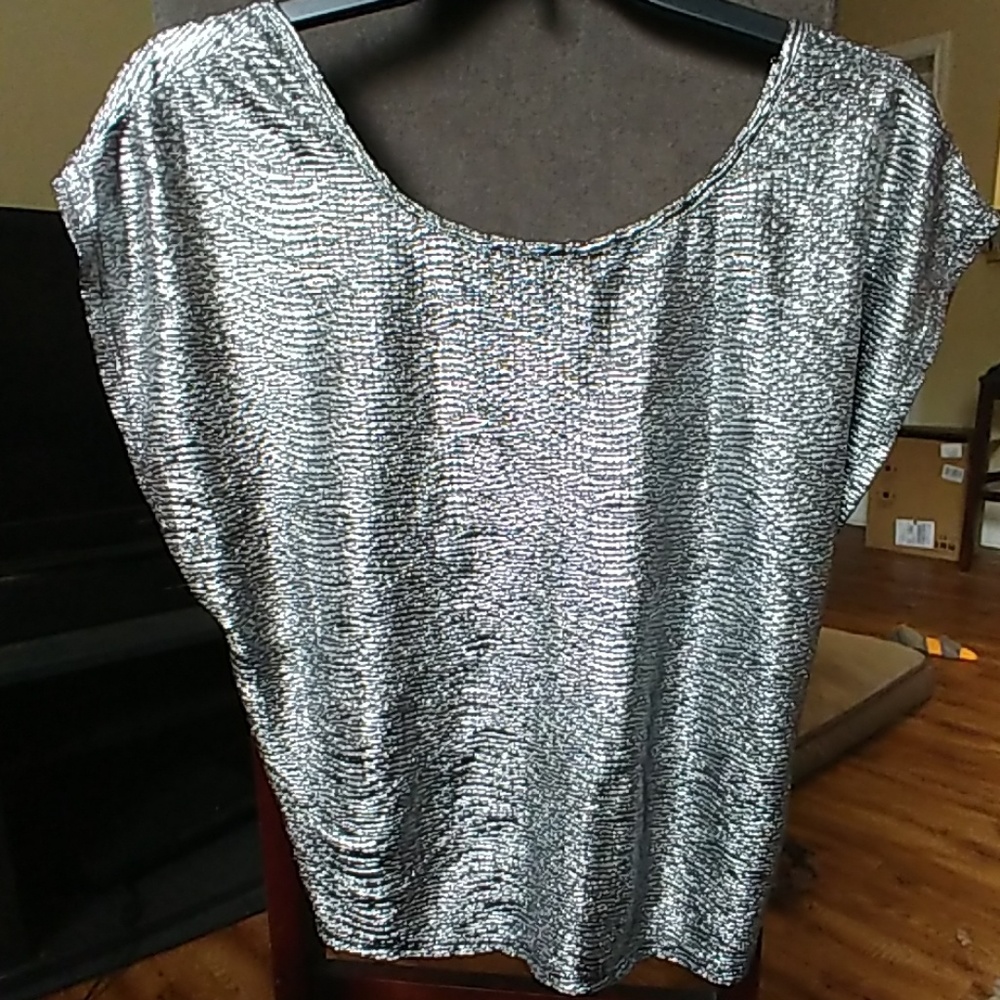 Silver Crop Top